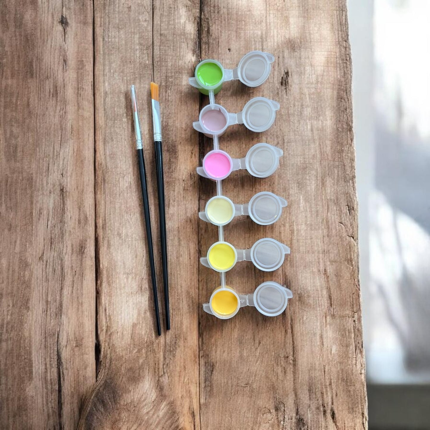 Bloom & Color Magnet - Paint & Pop Out Card - Paint Kit