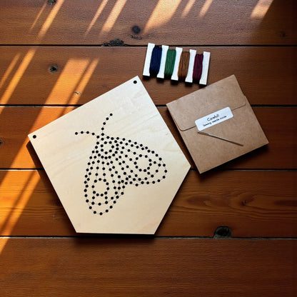 Mystic Moth DIY Embroidery Kit